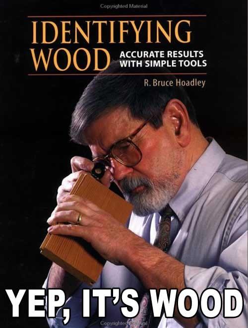 f-identifying-wood-5314.jpg